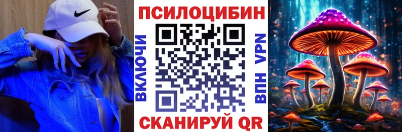 Псилоцибиновые грибы MAGIC MUSHROOMS  где продают наркотики  Гулькевичи 